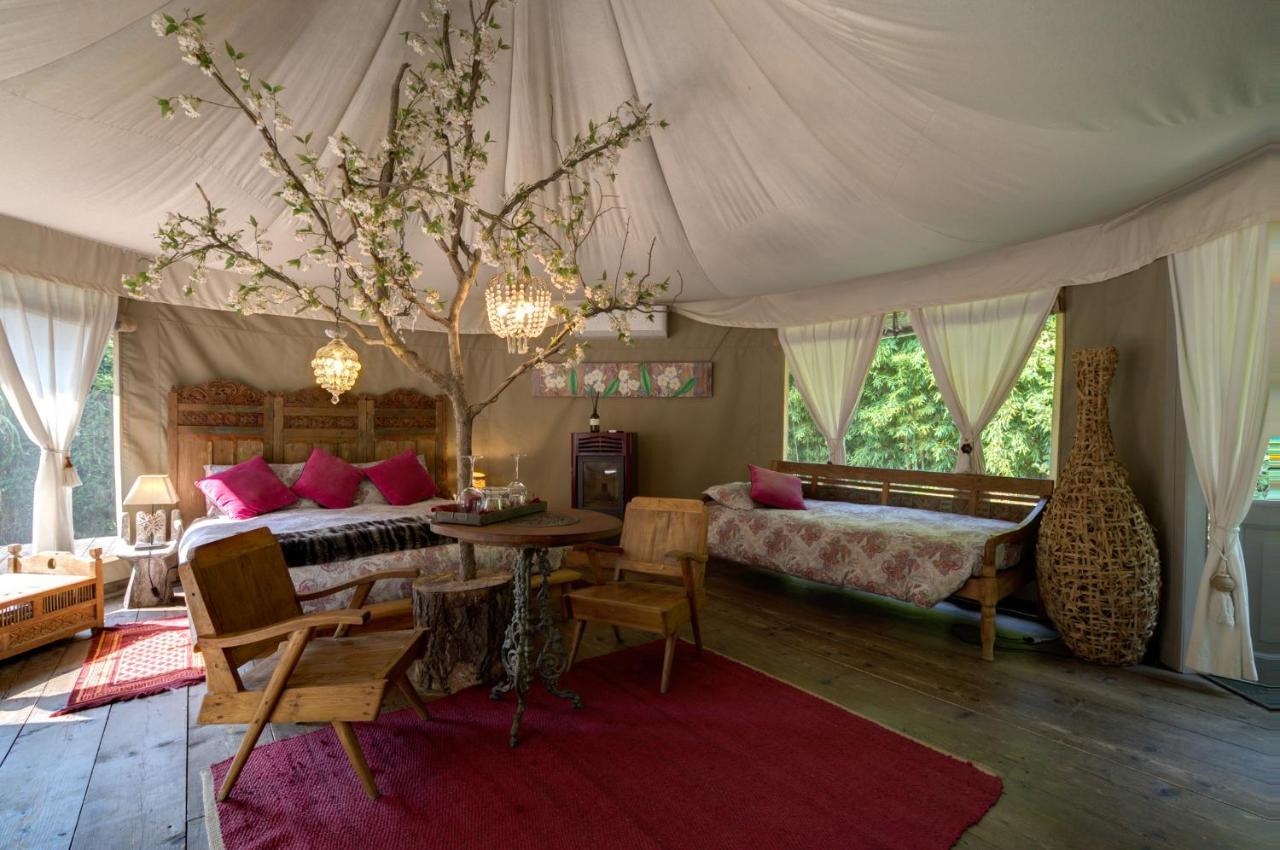 Glamping Canonici Di San Marco Мирано Екстериор снимка